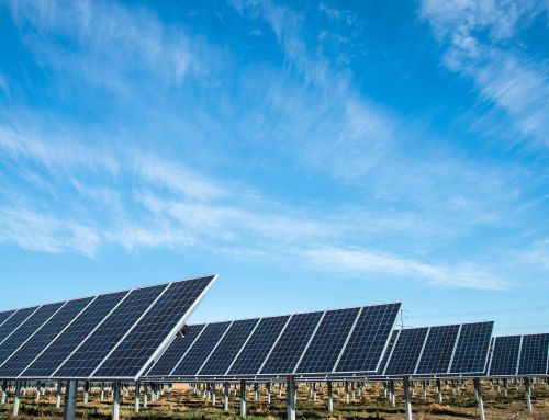 Gia Đình Khách Hàng L.M.T