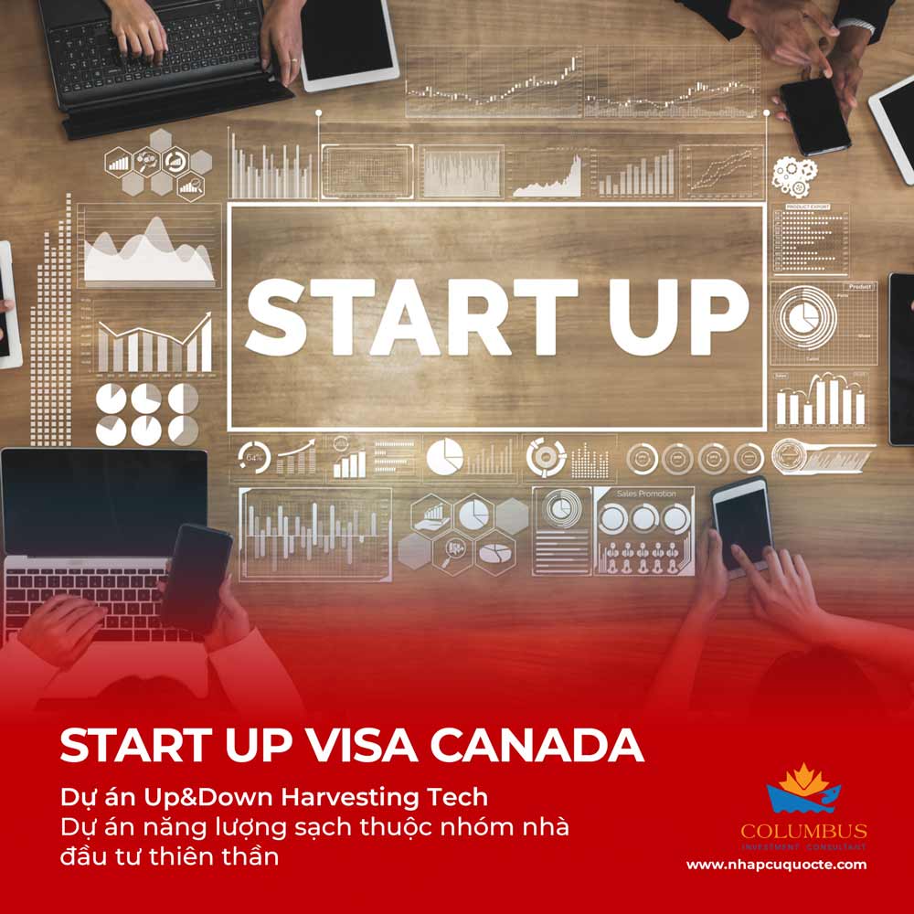 Start up Visa Canada: Dự án thuộc nhóm nhà đầu tư thiên thần Up&Down Harvesting Tech