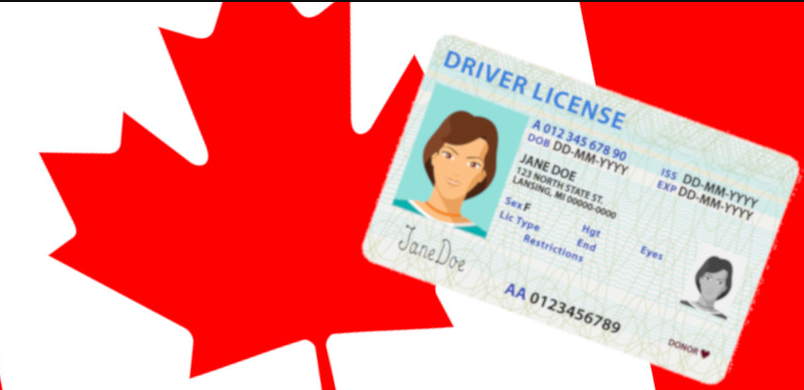 Cách học và lấy bằng lái xe Canada bao đậu 100%