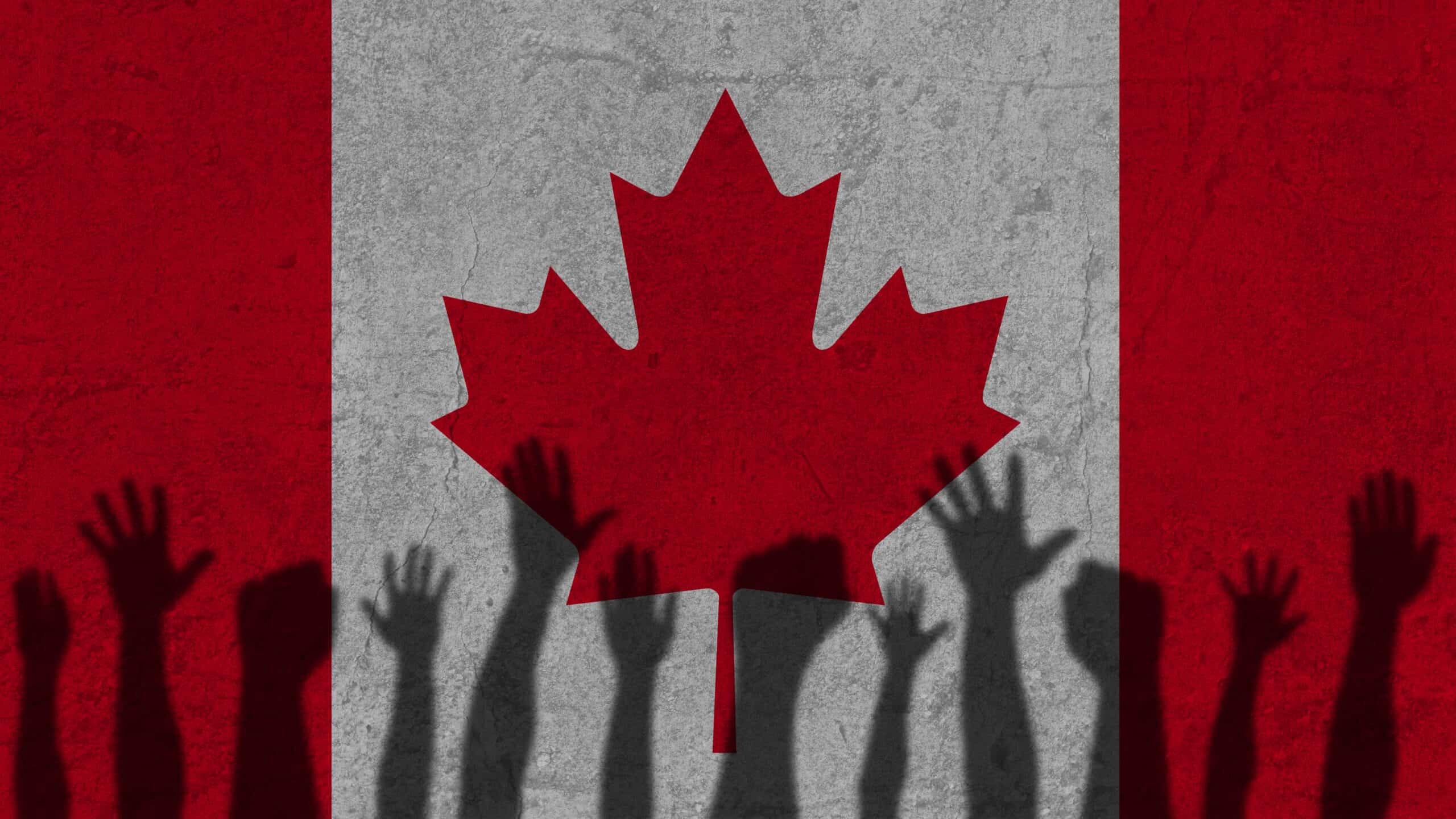 Kết hôn giả đi Canada – Hệ lụy không ngờ