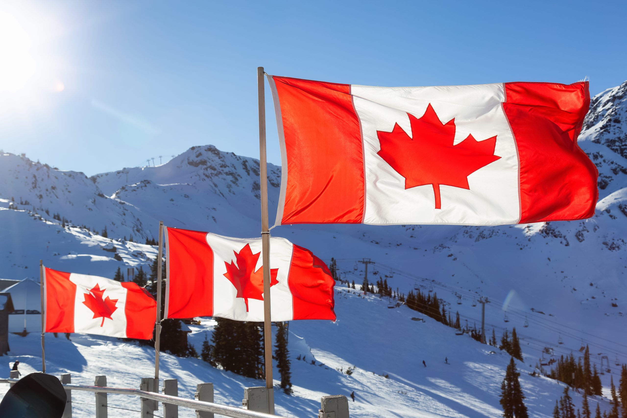 Canada ngưng xét duyệt đơn xin Work Permit từ diện visa du lịch