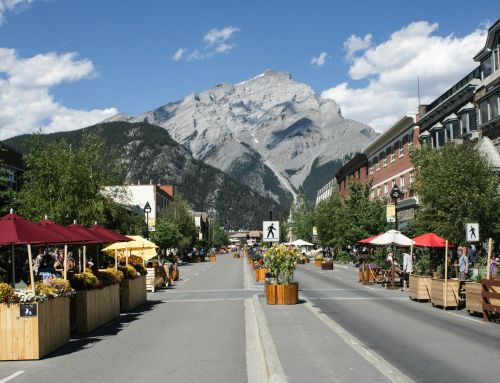 Khung pháp lý và điều kiện chương trình Doanh Nhân Alberta (AAIP)